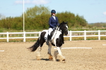 SBM_000282