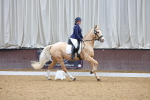 SBM_001881