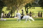 SBM_54346