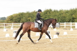 SBM_003691