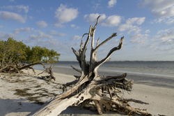 SunBeachWater 047