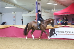 SBM_24508
