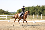 SBM_007518