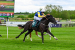 210526-Race 5-Lope Y Linda-4716