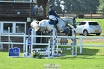 Cls 11 Snr Foxhunter & 1.20m Open portfolio