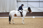 SBM_000442