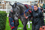 141125-Race 5-No Drama This End-0570
