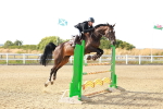 SBM_007605