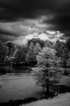 August Rain