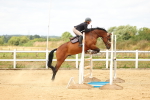 SBM_010157