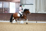 SBM_008503