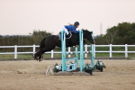 SBM_04308