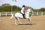 SBM_001651