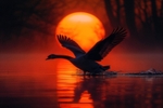 pr116 Winter Swan Sunset
