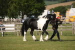 SBM_10368