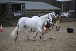 SBM_006207