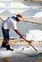 Salt Pan Labourer