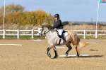 SBM_001009