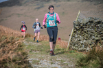Black Combe-1186