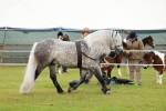 SBM_00508