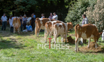 North Show_2014-19