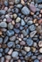 Tarbet Ness shore detail
