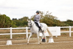 SBM_006306