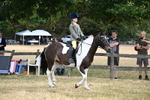 WJ6_3886