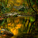 Autumn At Ivy Bridge-2