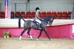 SBM_23229