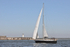 170526 SLOW GIN GBR2075L 1Y3A9537_Edit