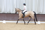 SBM_002715