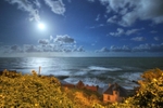 z2482 View over Steephill Cove by Moonlight