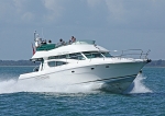 090822 KINGS RANSOM IMG_0821