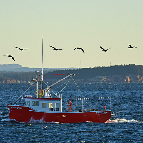 Callum's Catch Passamaquoddy Bay New Brunswick Canada