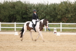 SBM_01499