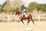 SBM_018165