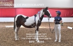 BPP_1689