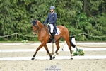 Rider 420 to 429 portfolio