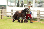 SBM_06274