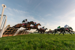 121225-Race 7-Lucky Manifest-3598