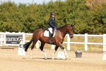SBM_017904