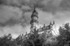 Tower of Neuschwanstein Castle