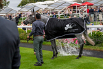 210824-Race 6-Star Of Lady M-5879