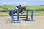BPP_8347