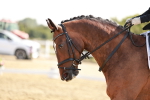 SBM_002495