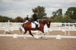 SBM_05919