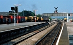Westbury, Wiltshire portfolio