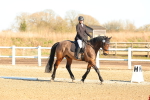 SBM_003764