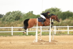 SBM_002807